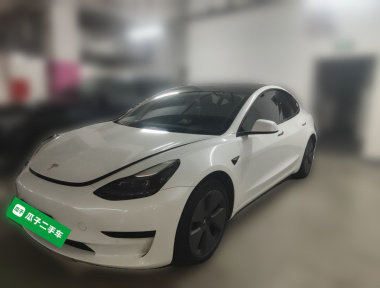 Tesla Model 3 2022 Tesla Model 3 2022 car image