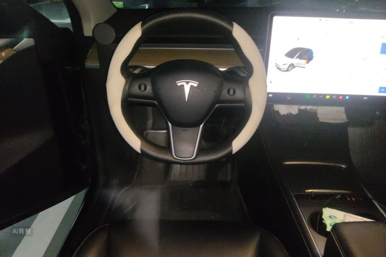 Tesla Model Y 2023 car image #12
