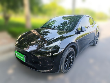 Tesla Model Y 2023 Tesla Model Y 2023 car image