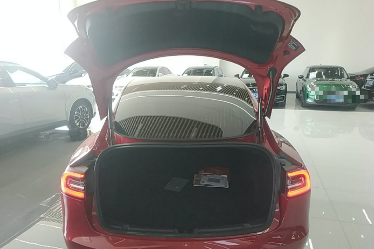 Tesla Model 3 2020 car image #21