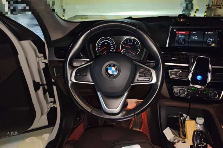 BMW X1 2020 car image #12