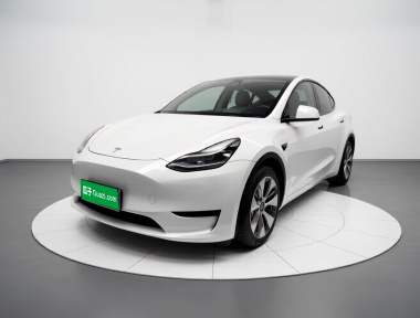 Tesla Model Y 2023 car image 