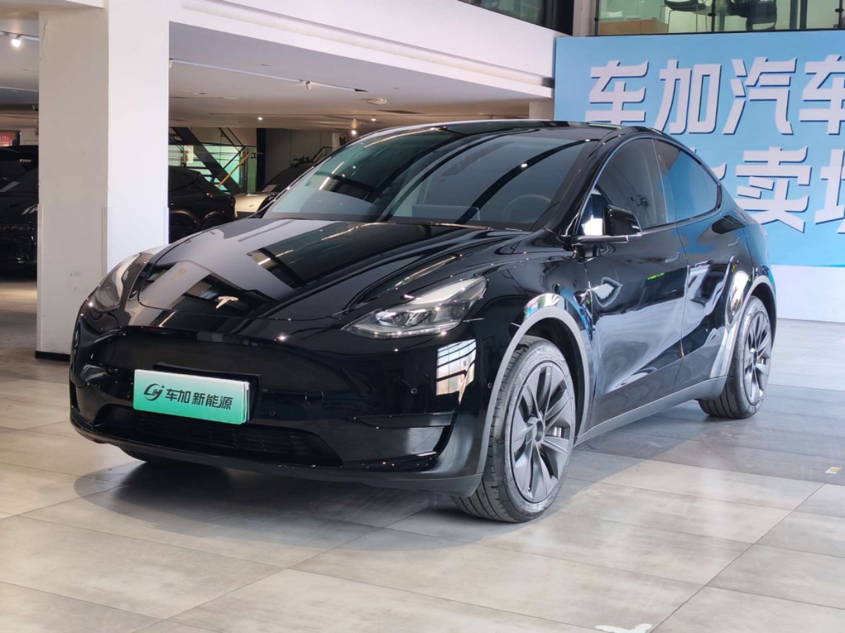 Tesla Model Y 2023 Tesla Model Y 2023 car image