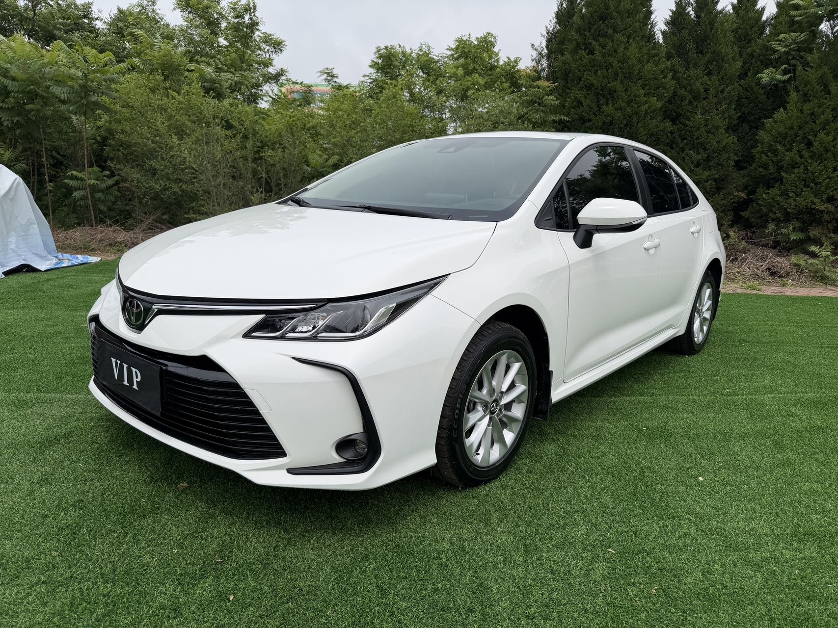 Toyota Corolla 2022 Toyota Corolla 2022 car image