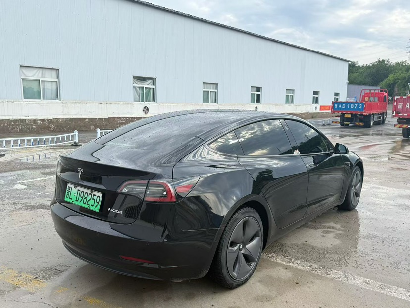Tesla Model 3 2020 car image #8