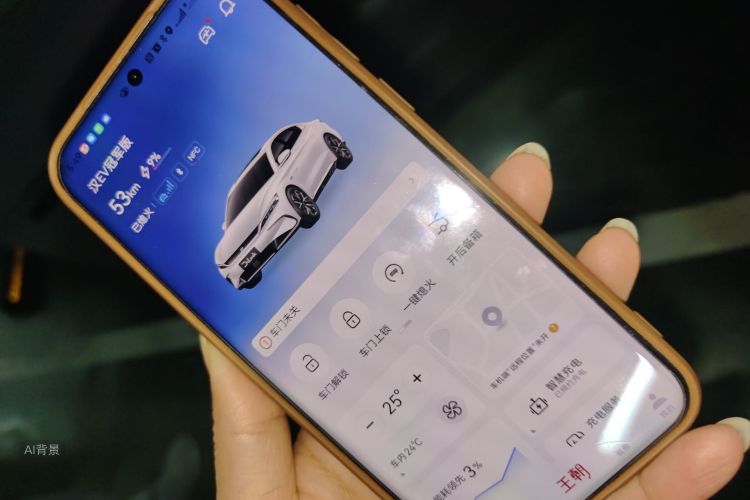 比亚迪 汉 2023 汽车图片 #10