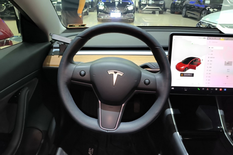 Tesla Model 3 2020 car image #15