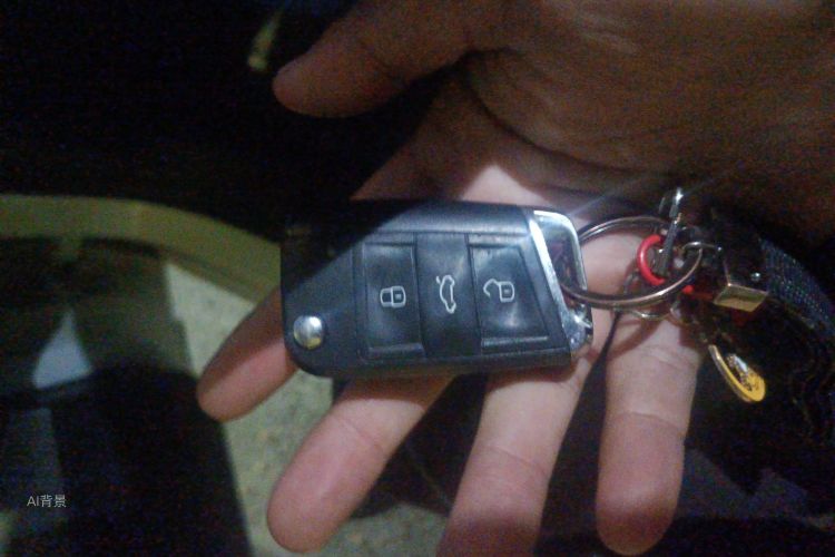 Volkswagen Bora 2021 image de voiture #10