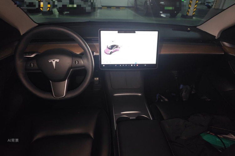 Tesla Model 3 2021 car image #11