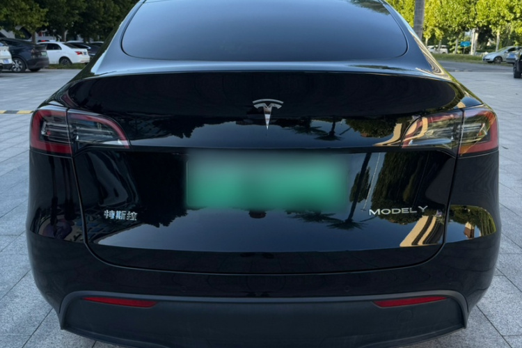 Tesla Model Y 2021 car image #8