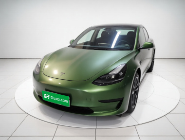 Tesla Model 3 2021 car image 