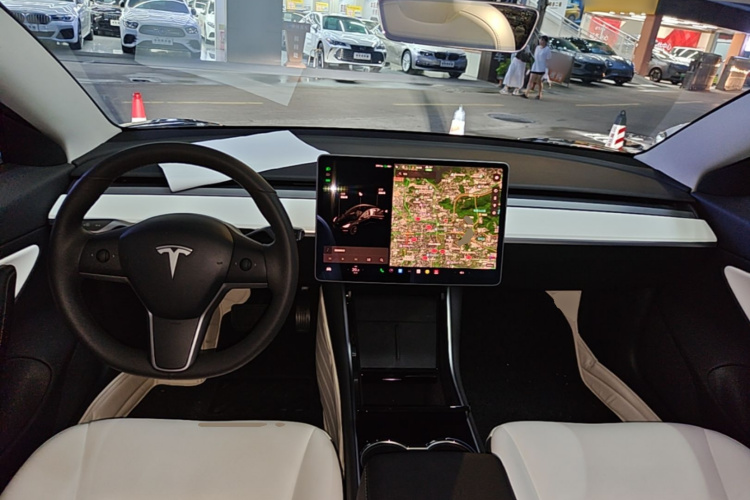 Tesla Model 3 2020 car image #10
