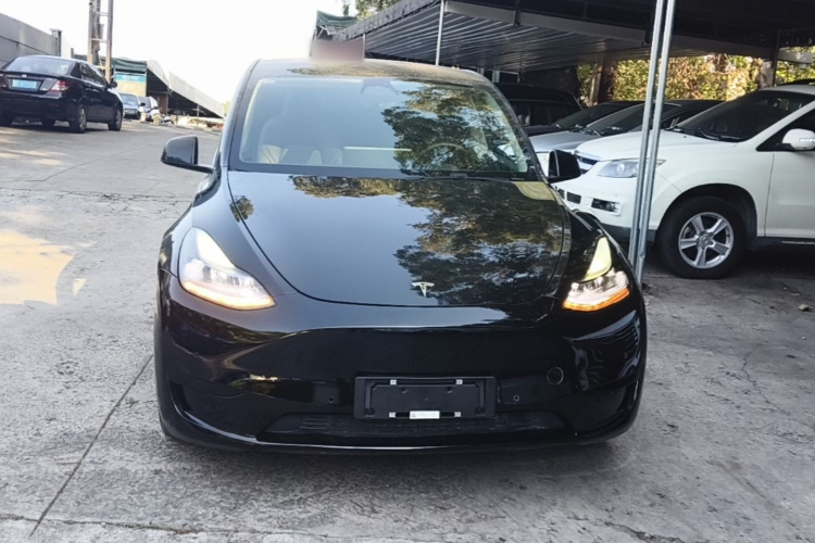 Tesla Model Y 2023 immagine di auto #3