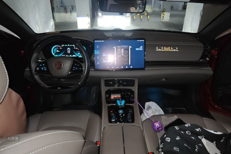 BYD Han 2021 #11 BYD Han 2021 immagine di auto #11