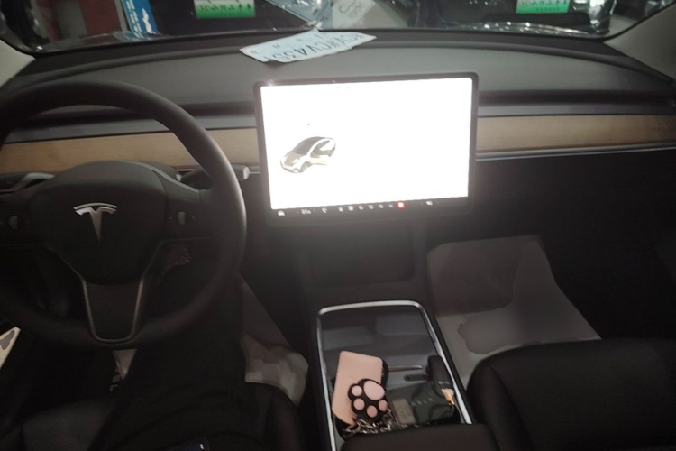 Tesla Model 3 2021 #10 Tesla Model 3 2021 car image #10