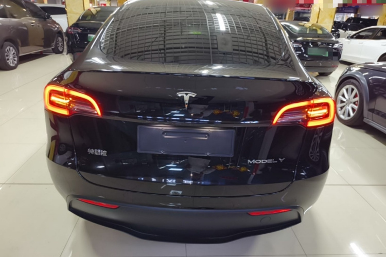 Tesla Model Y 2021 car image #4
