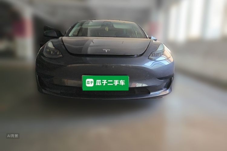 Tesla Model 3 2021 #3 Tesla Model 3 2021 car image #3