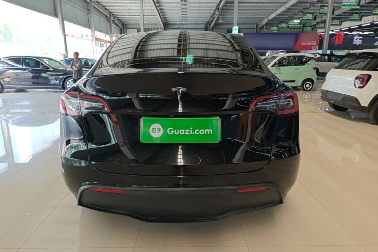 Tesla Model Y 2024 car image #6