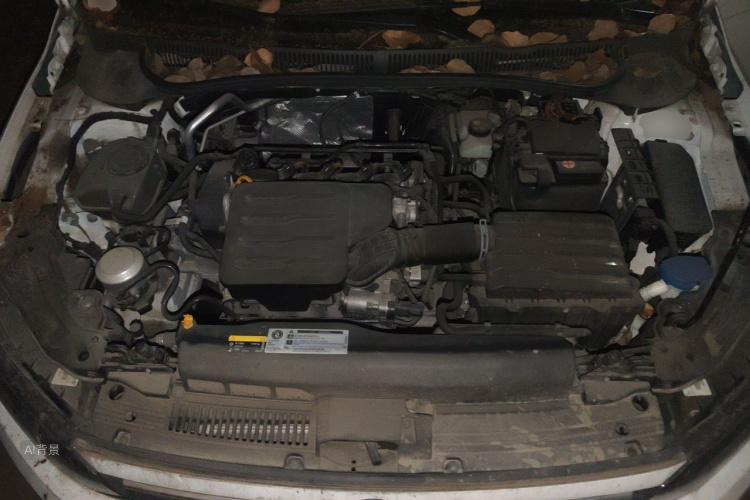 Volkswagen Polo 2021 car image #22