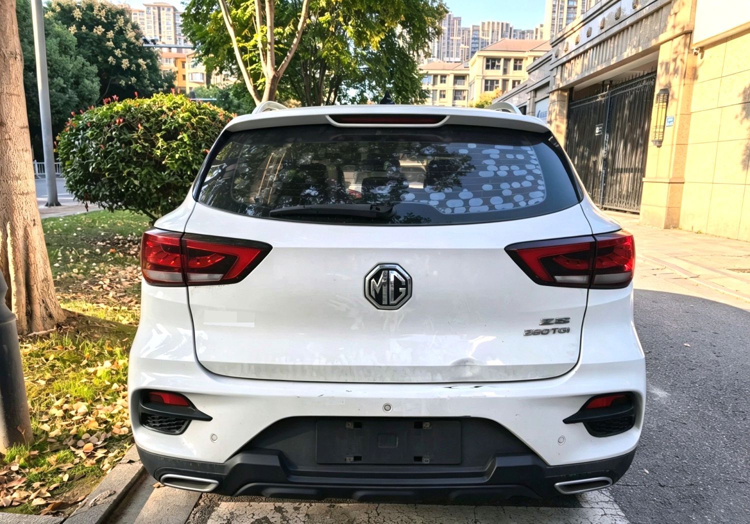 MG ZS 2020 image de voiture #5