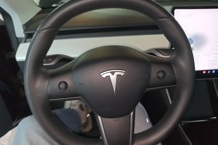 特斯拉 Model 3 2020 汽车图片 #11