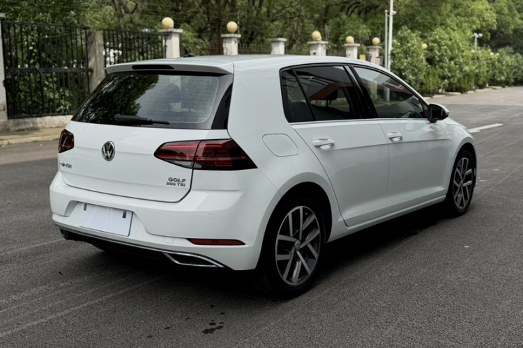 Volkswagen Golf 2019 car image #11