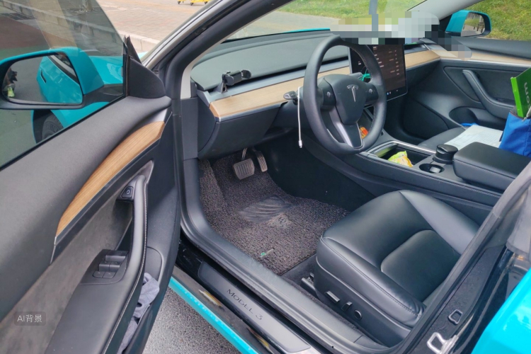 Tesla Model 3 2021 car image #18
