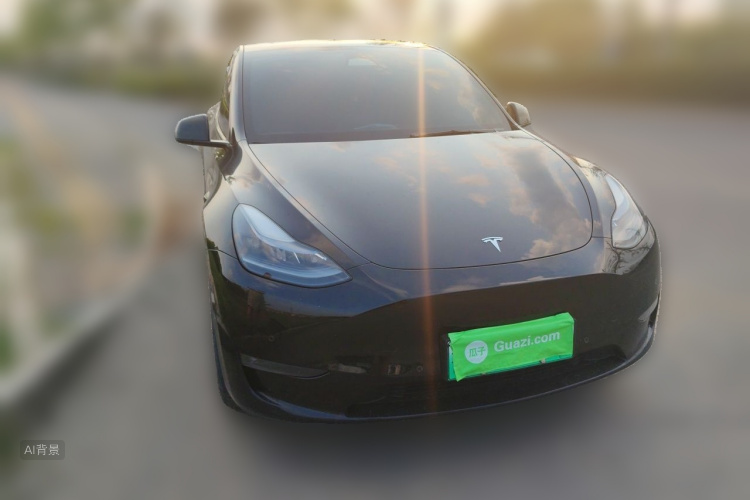Tesla Model Y 2023 car image #4