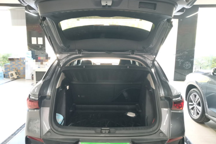 BYD Yuan Plus 2022 car image #19