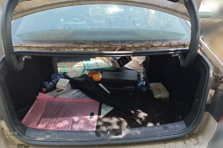 GEELY Emgrand GL 2017 car image #21