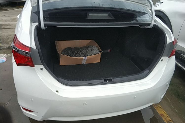 Toyota Corolla 2018 car image #21