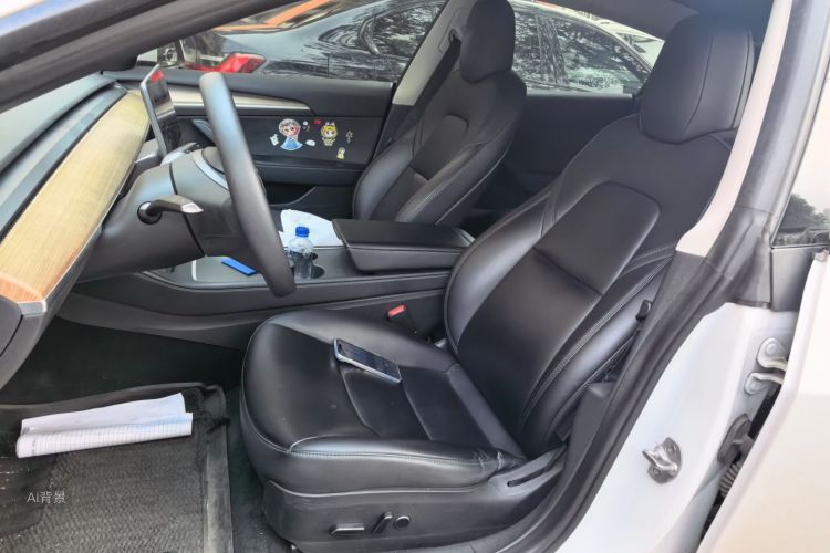 Tesla Model 3 2021 car image #17