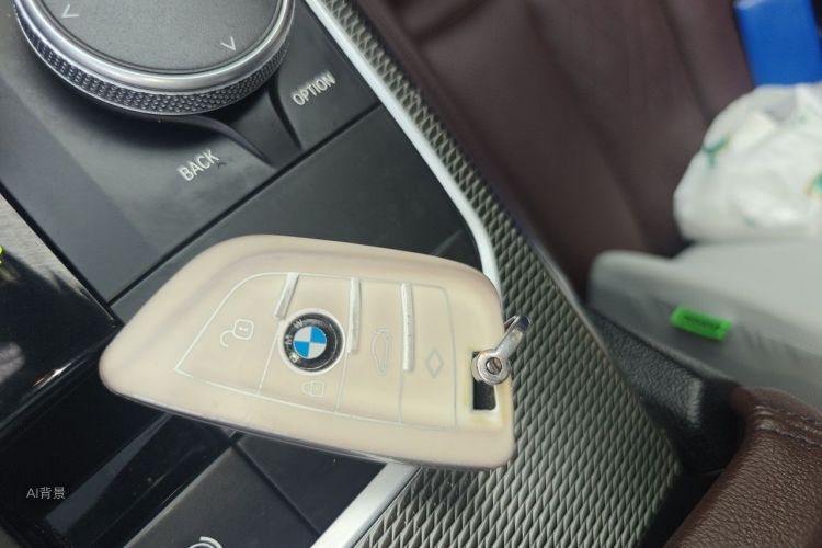 BMW 3 Series 2021 car image #10