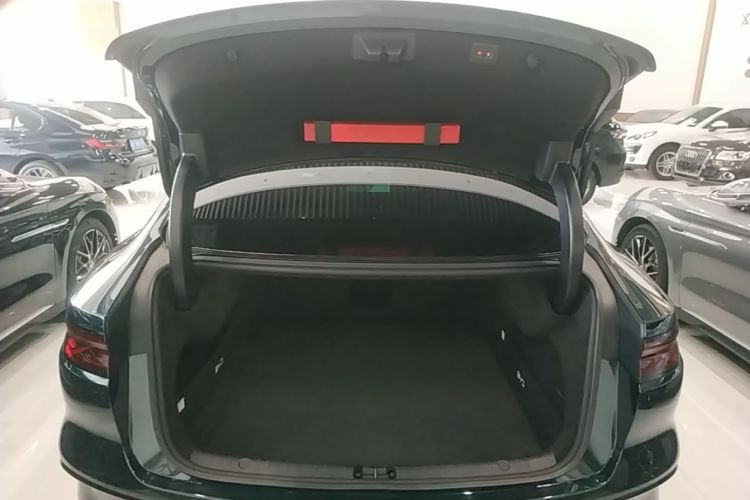 BYD Han 2022 #19 BYD Han 2022 immagine di auto #19