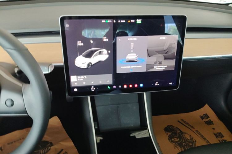 Tesla Model 3 2020 #13 Tesla Model 3 2020 car image #13