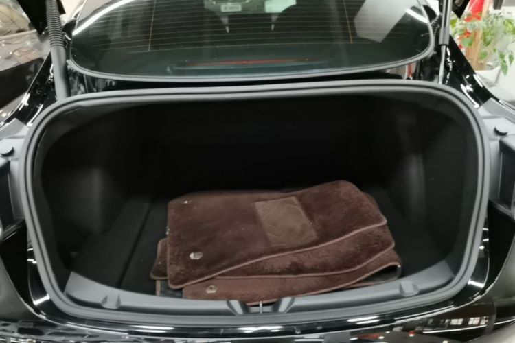 Tesla Model 3 2021 immagine di auto #19