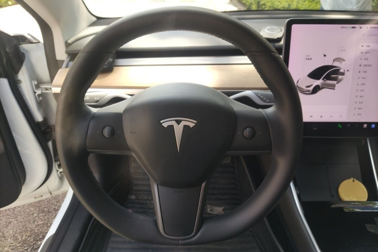 Tesla Model 3 2020 car image #12