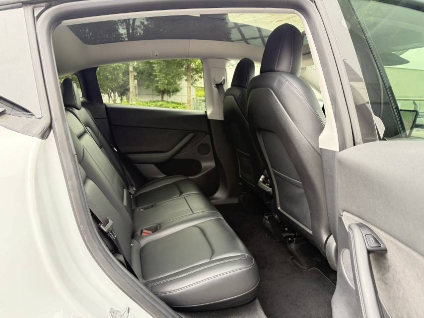 Tesla Model Y 2021 car image #12