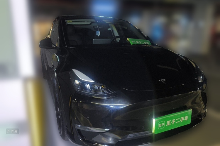 Tesla Model Y 2021 car image #4