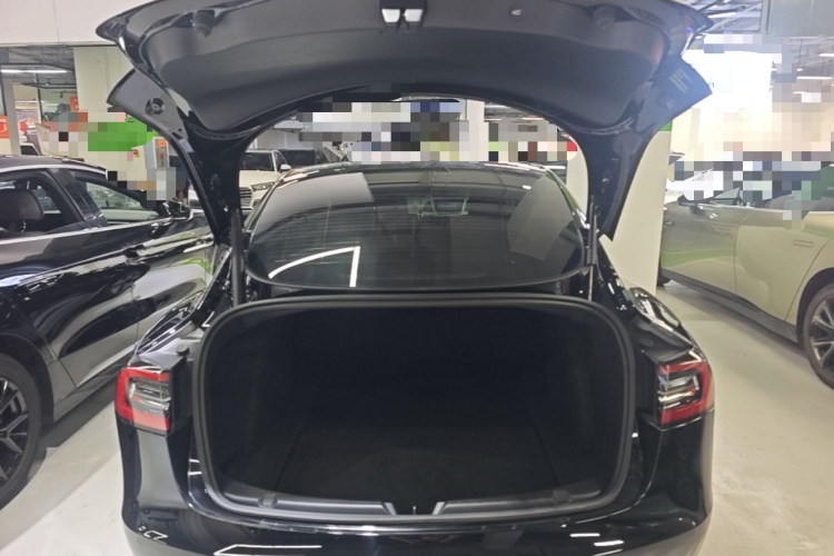 Tesla Model 3 2021 #21 Tesla Model 3 2021 car image #21