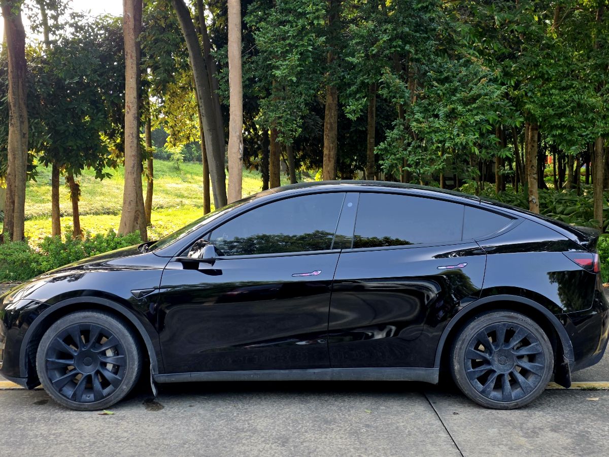 Tesla Model Y 2021 #3 Tesla Model Y 2021 car image #3