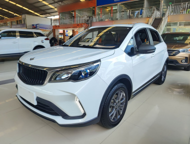 Livan X3 PRO 2022 汽车图片 