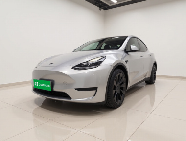Tesla Model Y 2021 Tesla Model Y 2021 car image