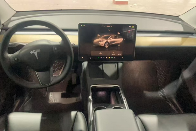 Tesla Model Y 2022 car image #11