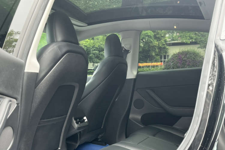 Tesla Model Y 2022 car image #13