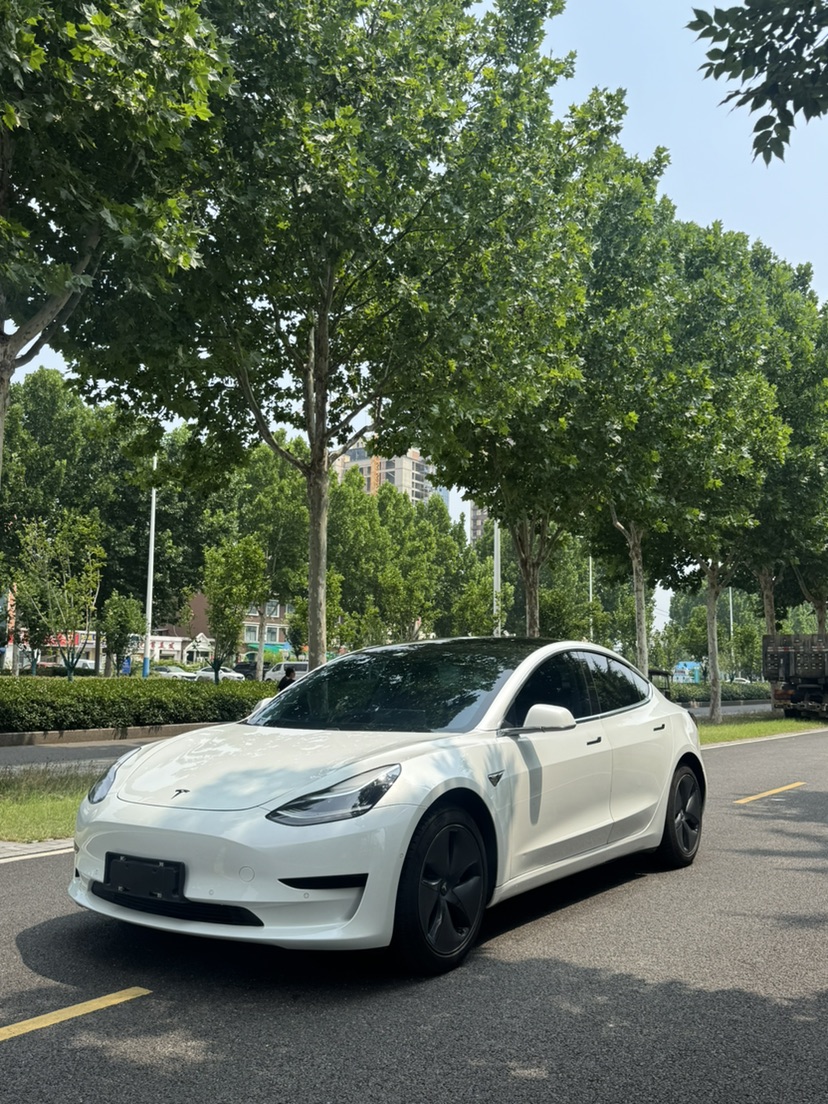 Tesla Model 3 (Imported) 2019 car image 