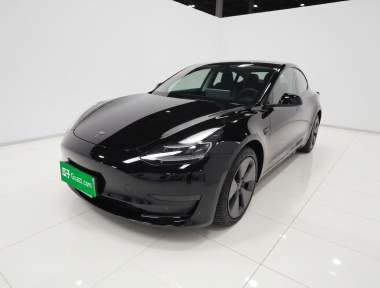 Tesla Model 3 2021 car image 