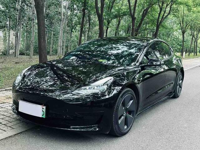 Tesla Model 3 2020 car image #10