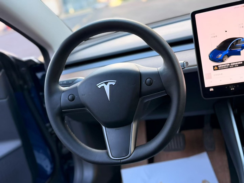 Tesla Model 3 2021 #4 Tesla Model 3 2021 car image #4