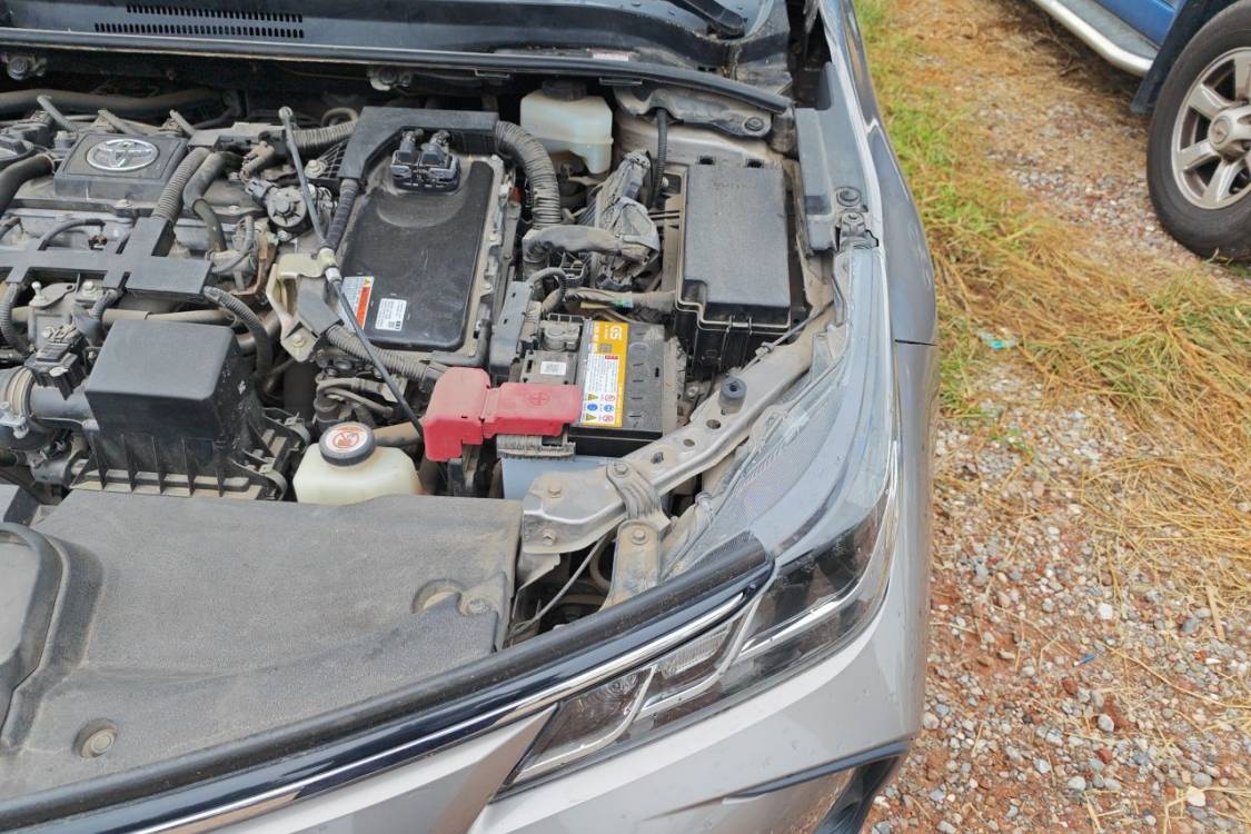 Toyota Corolla 2019 #12 Toyota Corolla 2019 car image #12
